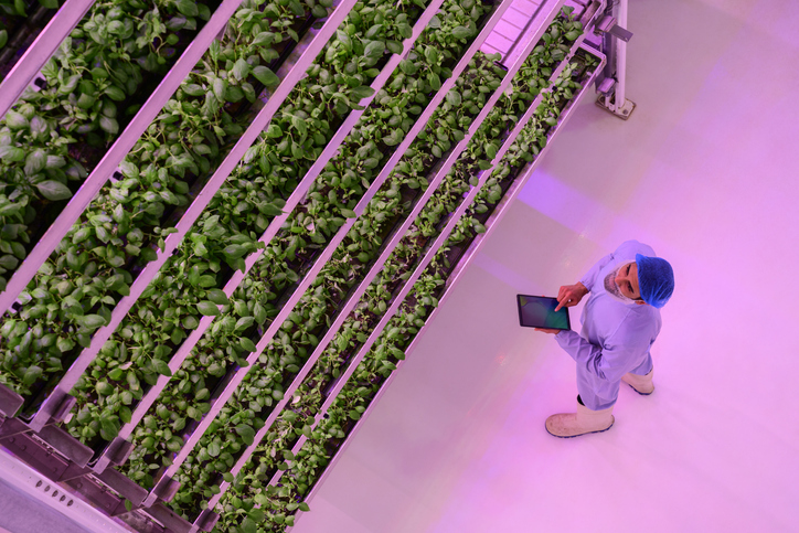Vertical farmers come out swinging amid industry struggles to stay upright