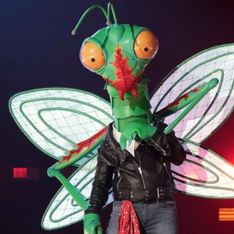 ‘The Masked Singer’ reveals Mantis as movie rocker: ‘I did not expect to go that far’