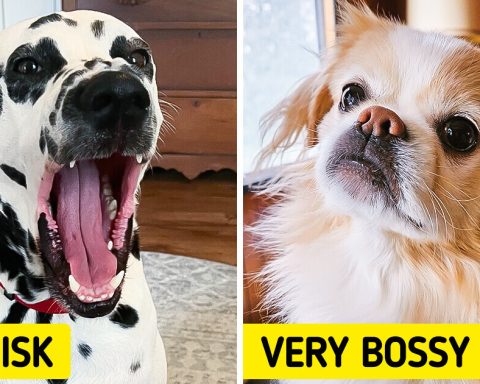 8 Dog Breeds to Avoid If You Have Small Kids