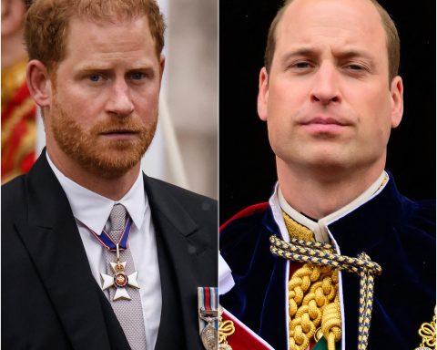 Prince Harry and Prince William Reportedly ‘Didn’t Interact’ at King Charles’ Coronation