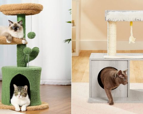 13 Modern and Chic Cat Trees to Incorporate Into Your Home
