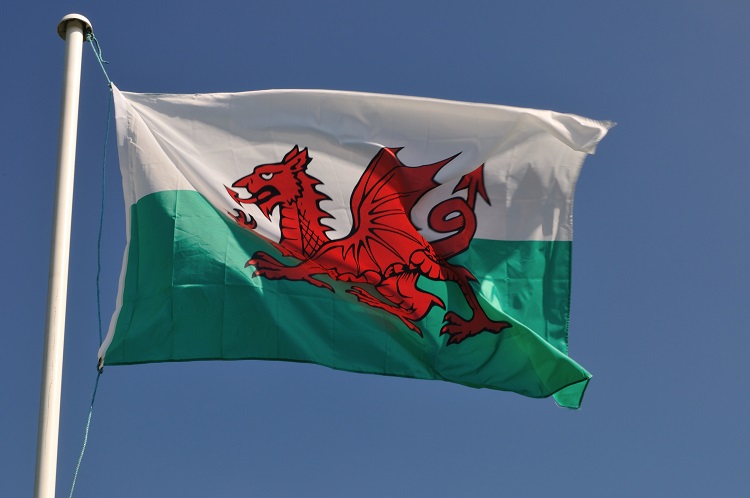 FSA to discuss Border Target Operating Model from Welsh perspective