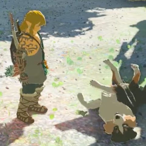 Players are not happy that you cannot pet the dog in Zelda: Tears of the Kingdom