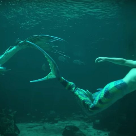Netflix’s ‘MerPeople’ trailer teases the ebbs and flows of being a professional mermaid