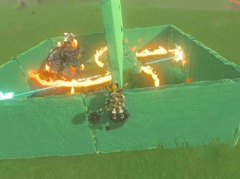 Japanese Zelda: Tears Of The Kingdom Players Are Popping Off
