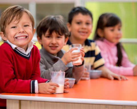 No plant-based dairy in EU schools, says the European Parliament