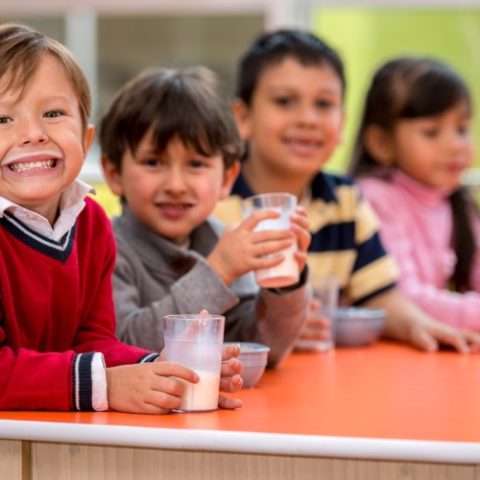 No plant-based dairy in EU schools, says the European Parliament