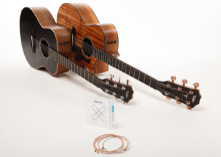 Taylor Guitars Transitioning to D’Addario Coated XS Phosphor Bronze Strings