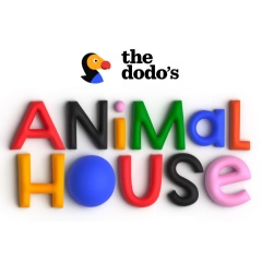 The Dodo Premieres First Creator-Led Series, “Animal House”