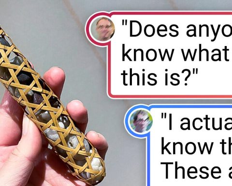 15+ Mysterious Objects That Baffled Google but Not Online Communities